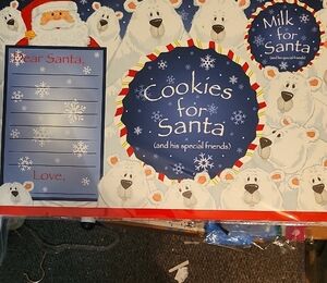 Christmas Santa and Polar Bears Placemat